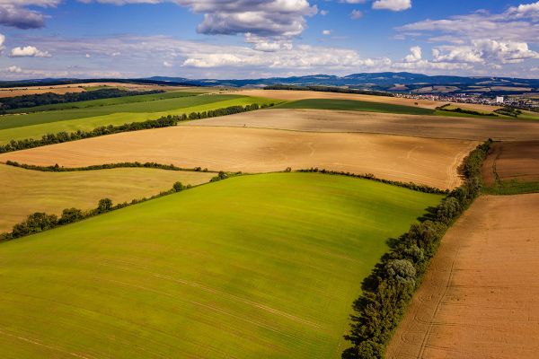 Radovan Chvíla – povídání se svatebním fotografem o nesvatebním fotografování