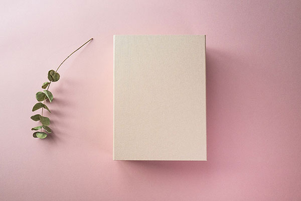 folio box