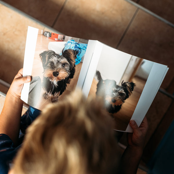 Klasický fotosešit