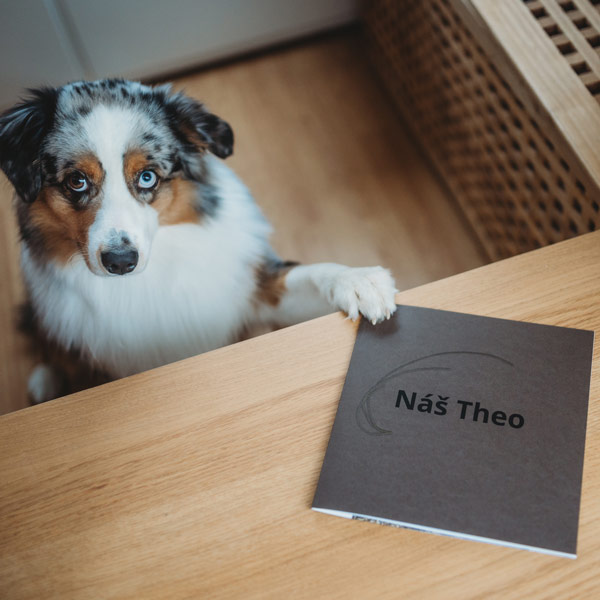 Fotosešit s barevnou obálkou