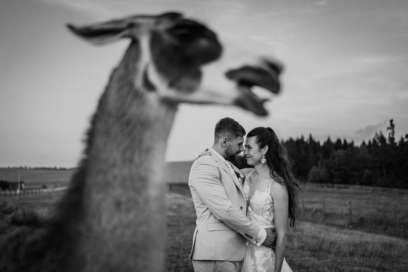 foto Marek Topolář